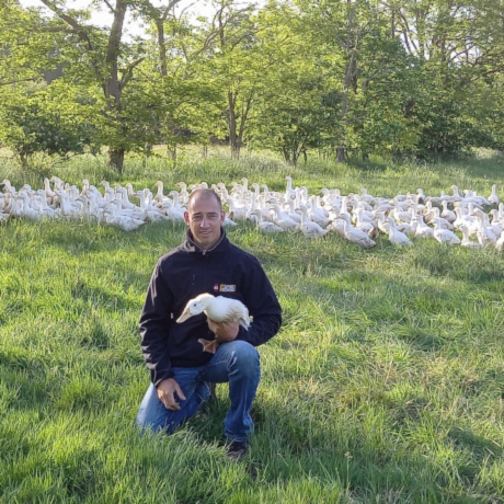 Canard Tour d'Argent nature