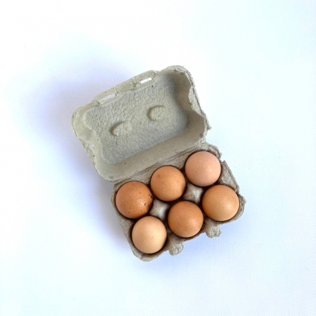 Organic eggs