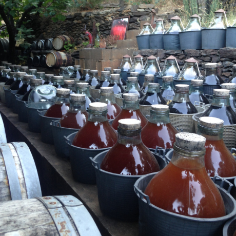 Traditional Banyuls red vinegar