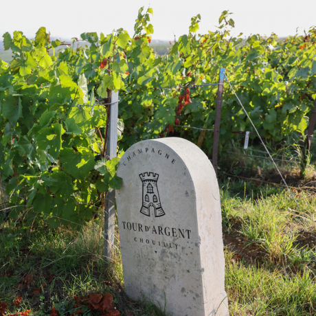 Champagne Tour d'Argent