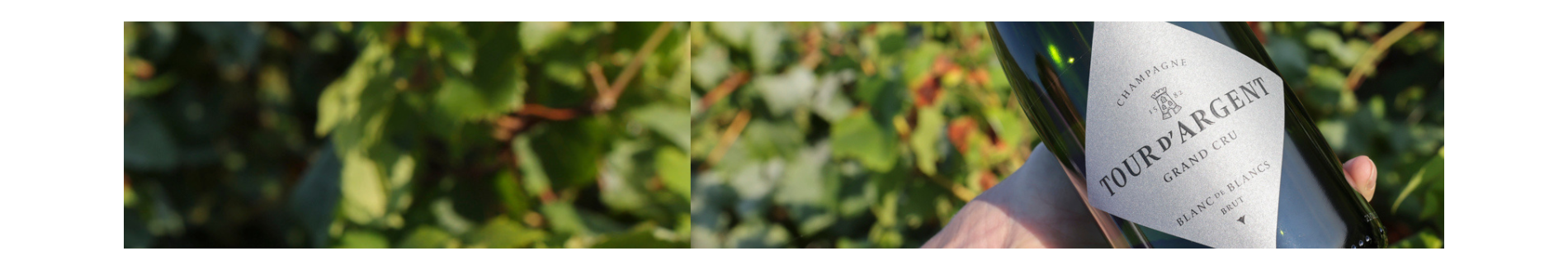 Champagnes Tour d'Argent