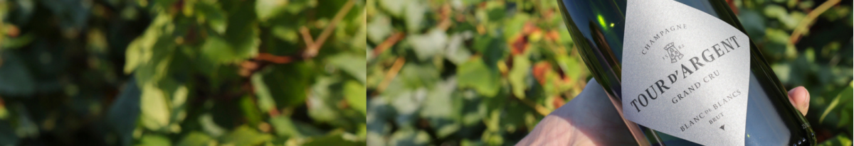 Champagnes Tour d'Argent