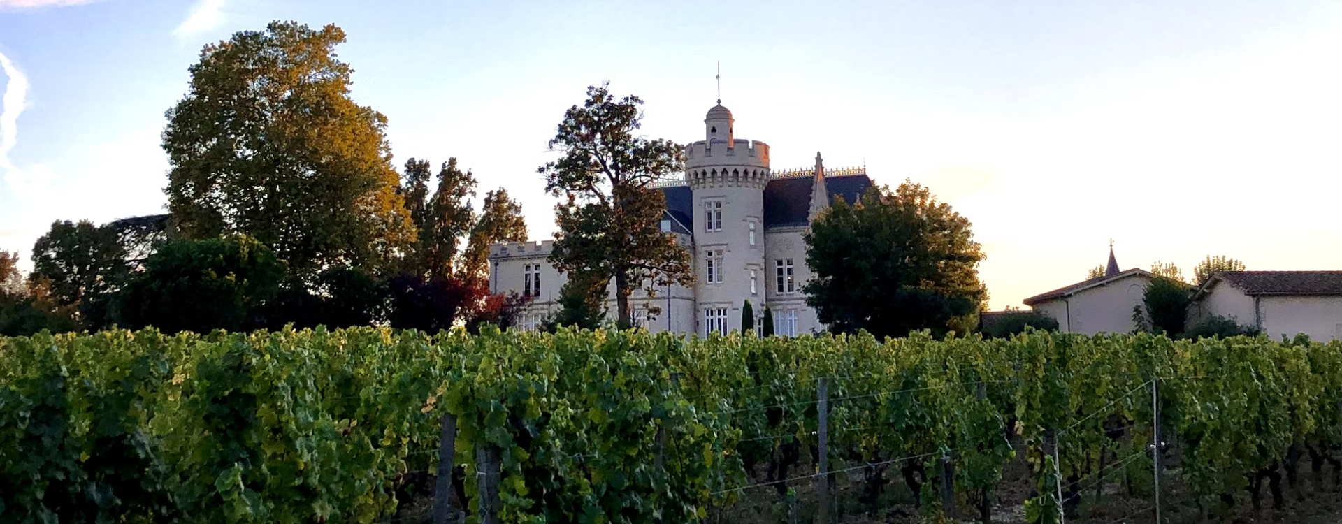 PRESENTATION OF THE 2022 BORDEAUX PRIMEURS – A remarkable vintage-img