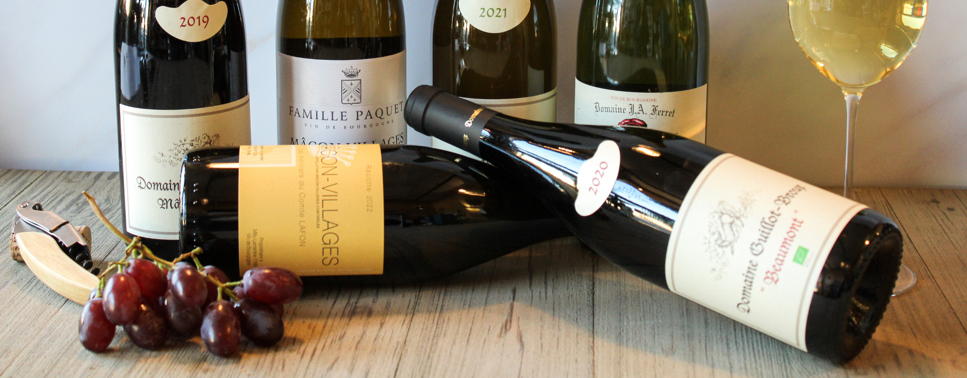 Retour de vignes : nouveaux horizons dans le vignoble du Mâconnais, terroir en vogue-img