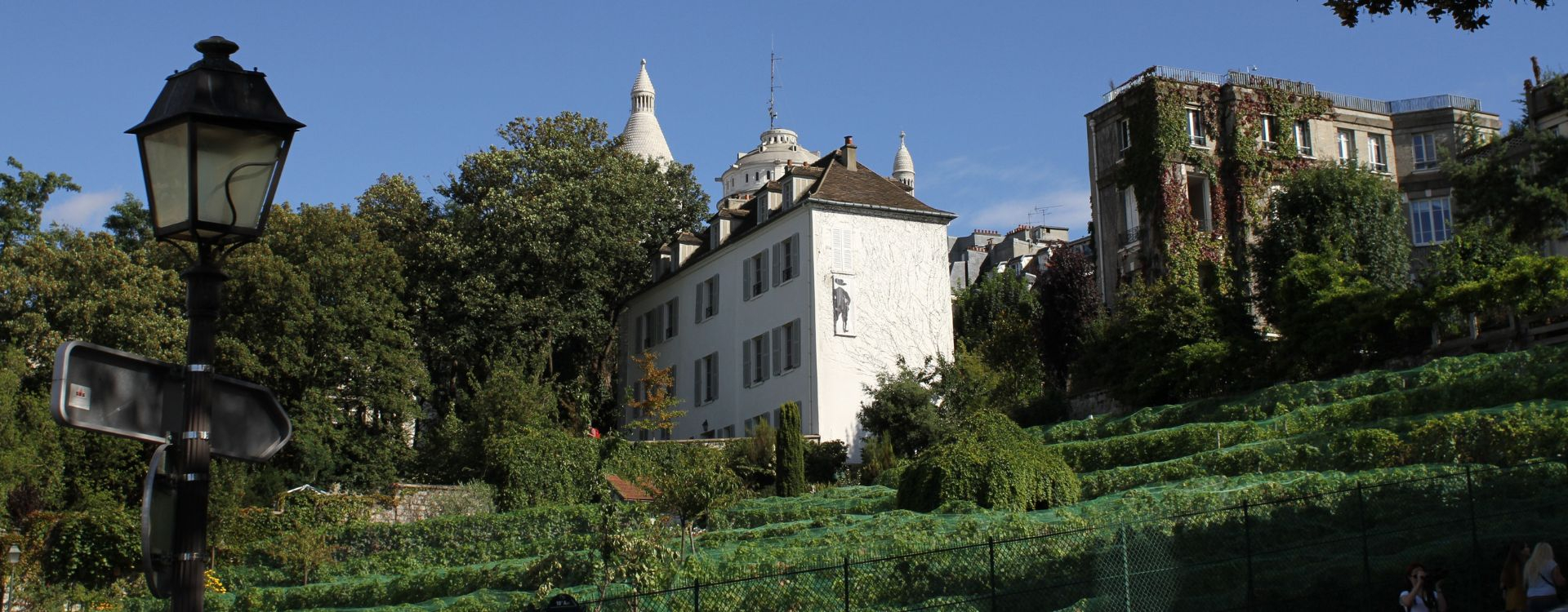 Les Vendanges à Montmartre-img