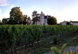 PRESENTATION OF THE 2022 BORDEAUX PRIMEURS – A remarkable vintage