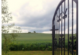 Le domaine Mugneret Gibourg, une histoire de femmes
