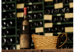 L'exercice du temps sur nos bouteilles de vin