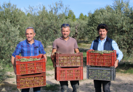 L'ÉCOLOGIE À LA TOUR D'ARGENT : UN JOYAU CULINAIRE ENGAGÉ POUR L'ENVIRONNEMENT