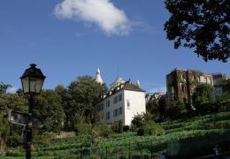 Les Vendanges à Montmartre